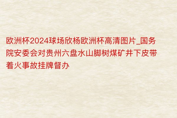 欧洲杯2024球场欣杨欧洲杯高清图片_国务院安委会对贵州六盘水山脚树煤矿井下皮带